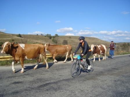  Foto: Radissimo-ActiveHolidays  Foto: Radissimo-ActiveHolidays 