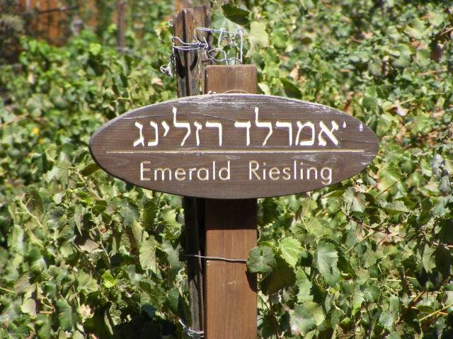 Israel präsentiert seine Weine auf der ProWein 2012 Israel präsentiert seine Weine auf der ProWein 2012