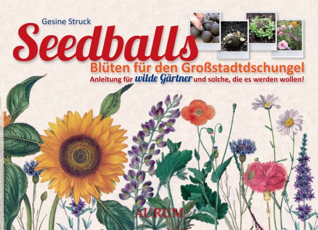Seedballs machen Städte wieder bunt Seedballs machen Städte wieder bunt