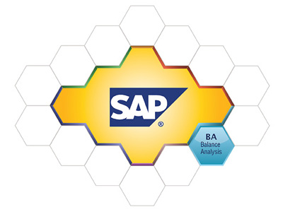 Bilanzanalyse mit SAP Bilanzanalyse mit SAP