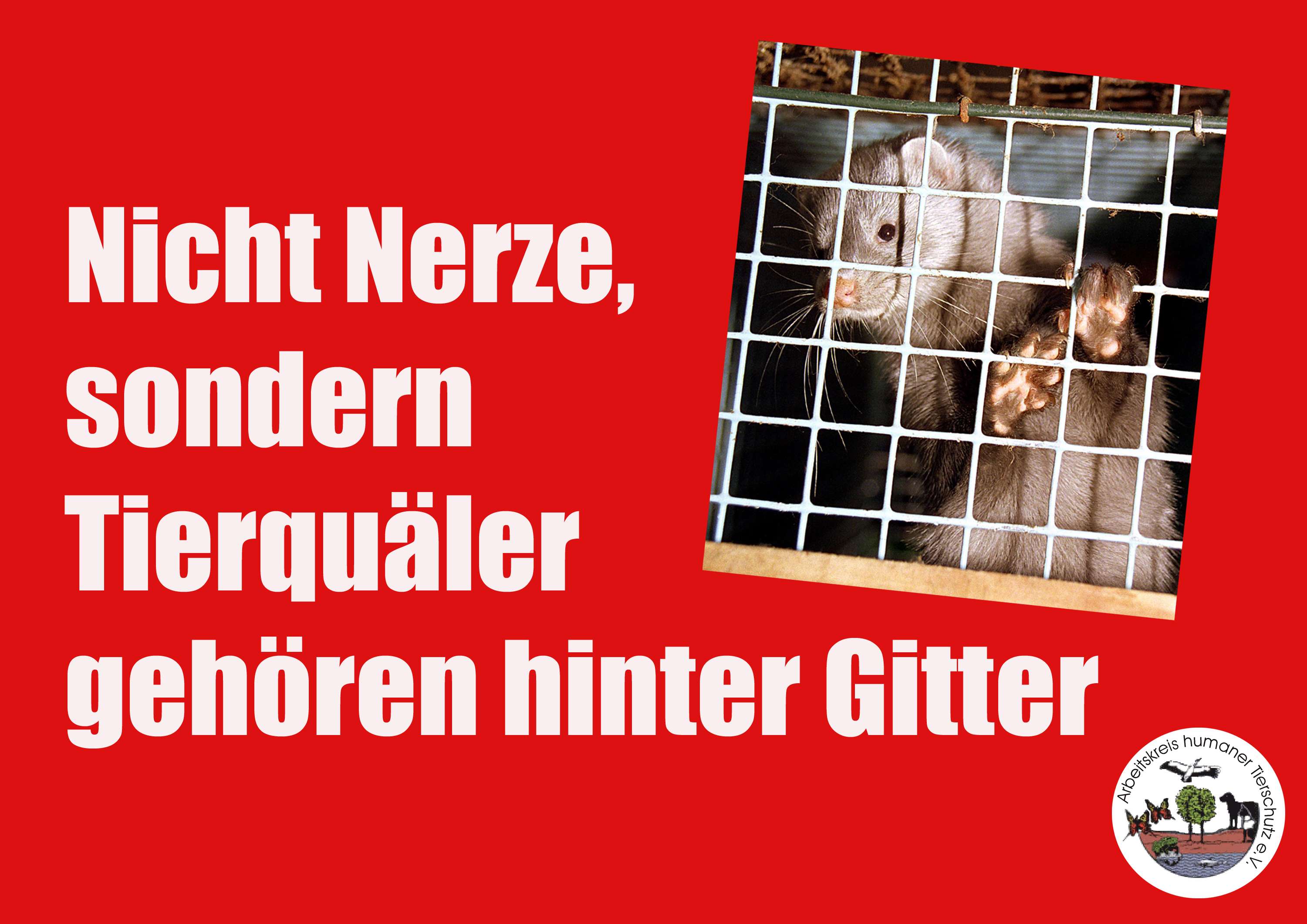 ?Nicht Nerze, sondern Tierquäler gehören hinter Gitter? - Demo in Münster 09.03.2012 ?Nicht Nerze, sondern Tierquäler gehören hinter Gitter? - Demo in Münster 09.03.2012