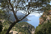 Mallorca - Westküste