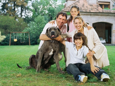 Mit der Hundekrankenversicherung kommt der geliebte Vierbeiner schnell wieder auf die Beine Mit der Hundekrankenversicherung kommt der geliebte Vierbeiner schnell wieder auf die Beine