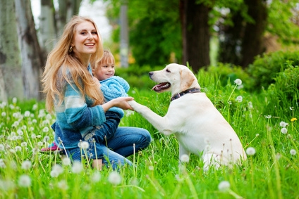 Die Hundeversicherung bietet besten Schutz und Vorsorge für den treuesten Freund des Menschen