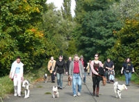Hundespaziergang Hanau-Großauheim Hundespaziergang Hanau-Großauheim