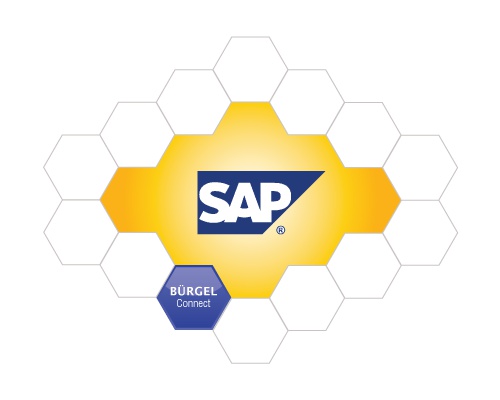 Bürgel Connect für SAP
