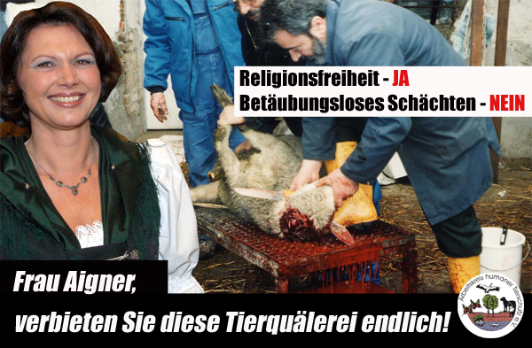 Arbeitskreis humaner Tierschutz e.V. startet Mailaktion gegen betäubungsloses Schächten Arbeitskreis humaner Tierschutz e.V. startet Mailaktion gegen betäubungsloses Schächten