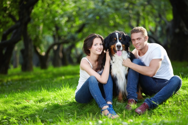 Mit der Uelzener Hundehaftpflichtversicherung sicher unterwegs Mit der Uelzener Hundehaftpflichtversicherung sicher unterwegs