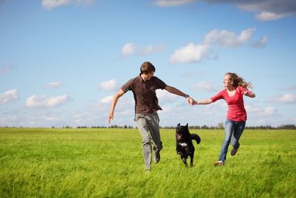 Umfassenden Schutz in jeder Alltagssituation bietet die Hundehaftpflicht Umfassenden Schutz in jeder Alltagssituation bietet die Hundehaftpflicht