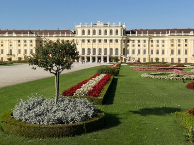 Tim Taylor Austria Tim Taylor Austria