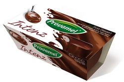 Provamel Bio Frische Soja Desserts Intenz Choco