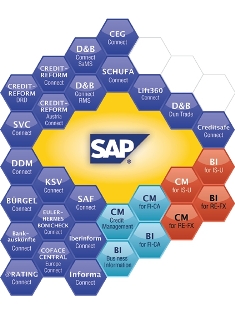 Kreditmanagement mit SAP Kreditmanagement mit SAP
