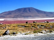 Rundreisen durch Bolivien Rundreisen durch Bolivien