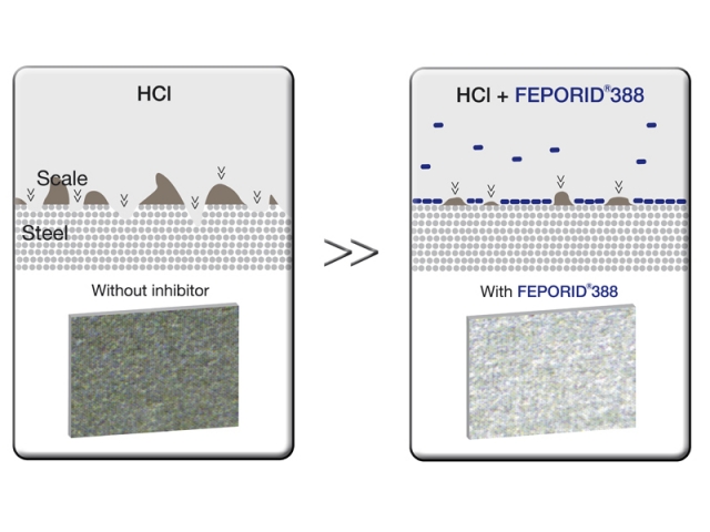 Wirkung von FEPORID® 388