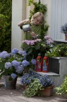 (c)  frux Hortensienerde und -dünger