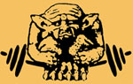 Bodybuilding, Fitness und Sport