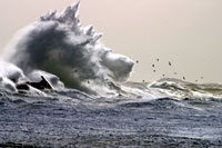 Seminare auf Helgoland - die monumental-elementare Natur leistet ihren Beitrag. Seminare auf Helgoland - die monumental-elementare Natur leistet ihren Beitrag.