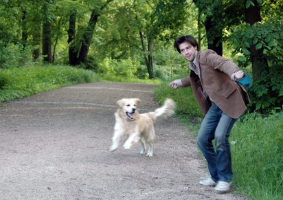 Ohne Hundehaftpflichtversicherung sollte sich Bello eigentlich nicht in Wäldern oder Parks bewegen Ohne Hundehaftpflichtversicherung sollte sich Bello eigentlich nicht in Wäldern oder Parks bewegen