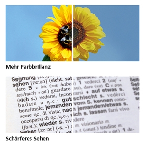Farbbrillanter, schärfer, klarer? i.Scription® Brillengläser von ZEISS
