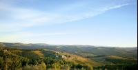 Panorama Panorama