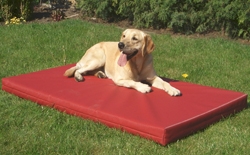 DoggyBed Basic Style