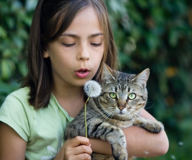 Eine gesunde Katze schafft Lebensfreude. Und den notwendigen Schutz bietet die Katzenkrankenversiche Eine gesunde Katze schafft Lebensfreude. Und den notwendigen Schutz bietet die Katzenkrankenversiche