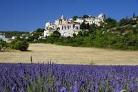 Fahrrad Frankreich: Wenn die violetten Blüten des Lavendelstrauchs ihre volle Pracht entfalten, wird Fahrrad Frankreich: Wenn die violetten Blüten des Lavendelstrauchs ihre volle Pracht entfalten, wird