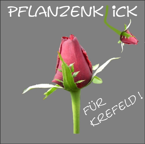 Pflanzenklick