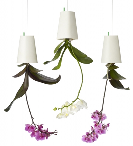 Ein Topf steht Kopf - der Greenbop Skyplanter Ein Topf steht Kopf - der Greenbop Skyplanter