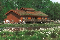 Naturpark Niedersachsen: Ein Besuch im