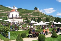 Kulinarische Weinwanderung: Weingenuss und Wandern gehören in Radebeul zusammen. Der Weinwanderweg