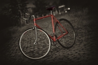 Q-Cycles Colnago Singlespeed Q-Cycles Colnago Singlespeed