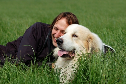 Die Hundehaftpflicht steht für Schutz im Schadensfall Die Hundehaftpflicht steht für Schutz im Schadensfall
