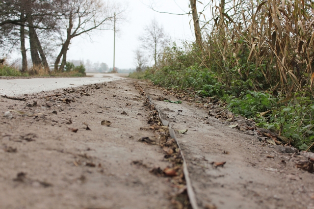 Durch den Einbau von RootBarrier® Wurzelschutzfolien auf der Basis von DuPontTM Xavan® kann das Wurz Durch den Einbau von RootBarrier® Wurzelschutzfolien auf der Basis von DuPontTM Xavan® kann das Wurz