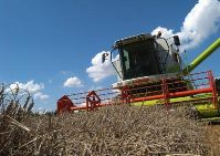 Agrifinder - Lohnunternehmen im Überblick (Foto: Proplanta) Agrifinder - Lohnunternehmen im Überblick (Foto: Proplanta)