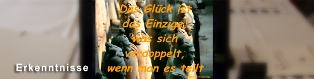 Und welche Erkenntnisse haben Sie?