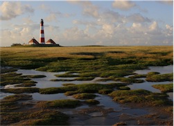 Gunnar Scheibe: Westerhever Leuchtturm Gunnar Scheibe: Westerhever Leuchtturm