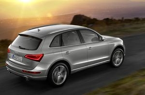 Zugfahrzeug auf Mit-Pferden-reisen.de: AUDI Q 5