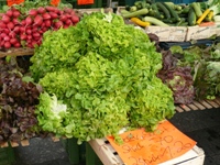 Auch frische Waren gibt es im Bio-Handel (Foto: Proplanta) Auch frische Waren gibt es im Bio-Handel (Foto: Proplanta)