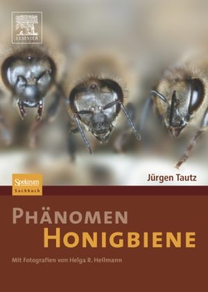 Abb.: Coverabbildung des Buchs Abb.: Coverabbildung des Buchs