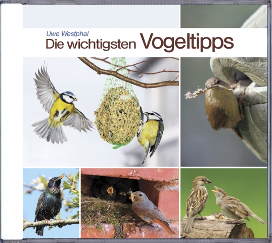 Die wichtigsten Vogelstipps Die wichtigsten Vogelstipps