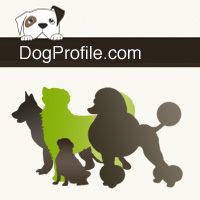 DogProfile die Hunde-Community