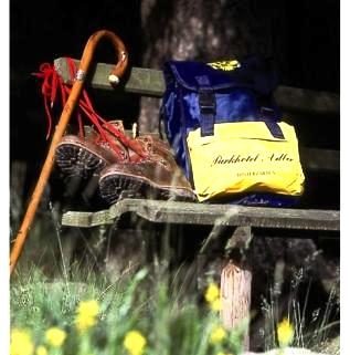 Parkhotel Adler in Hinterzarten - Deluxe-Outdoor- und EM-Spaßim Schwarzwald