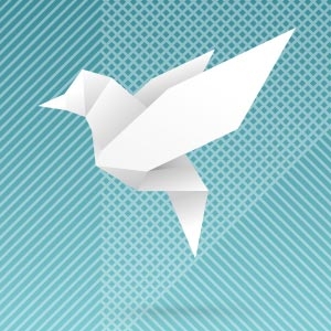 Artyvects | Portemonnaies aus Papier. Hol dir Geldbörsen im neuen Onlineshop.