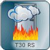 Rauchdichte Brandschutztür T30- RS