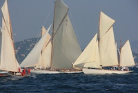 Les Voiles de St Tropez Regatta Mitsegeln