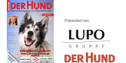 Covermodel – Ihr Vierbeiner als Star auf dem Titel eines angesagten Hundemagazins!