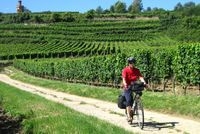 Deutsche Weinstraße: Rund um die Deutsche Weinstraße lassen sich Aktivsein und Genuss ideal miteinan Deutsche Weinstraße: Rund um die Deutsche Weinstraße lassen sich Aktivsein und Genuss ideal miteinan