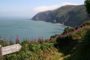Blick zum Foreland Point Blick zum Foreland Point