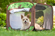 Farbenfrohe Spielhäuser für Tiere von Checkey Limited. Foto: Hersteller.